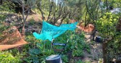 Rif. 26 – Locale con terreno Santa Margherita Ligure Rif. 26 – Locale con terreno Santa Margherita Ligure