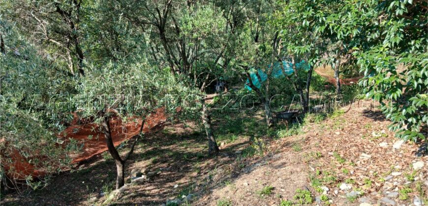 Rif. 26 – Locale con terreno Santa Margherita Ligure Rif. 26 – Locale con terreno Santa Margherita Ligure
