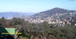 Rif. SE – CAMOGLI SAN ROCCO, VENDO NUDA PROPRIETA’