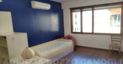 Rif. 84 – CAMOGLI LOCALE Affittasi