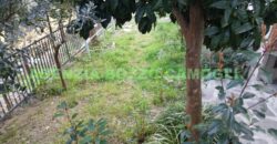 Rif.W7 BORGO VILLA BENIA Rapallo