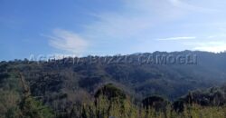 Rif.W1 BORGO VILLA BENIA Rapallo Rif.W1 BORGO VILLA BENIA Rapallo