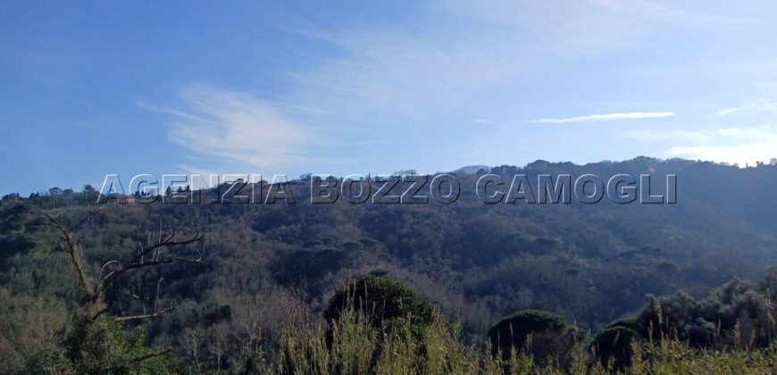 Rif.W1 BORGO VILLA BENIA Rapallo Rif.W1 BORGO VILLA BENIA Rapallo