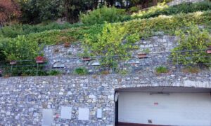 Rif. 17 BOX CON MAGAZZINO VENDO Rif. 17 BOX CON MAGAZZINO VENDO