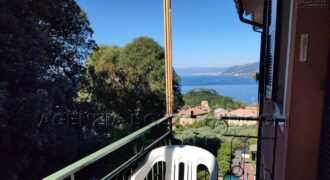 Rif. 49 – CAMOGLI VENDO APPARTAMENTO Rif. 49 – CAMOGLI VENDO APPARTAMENTO